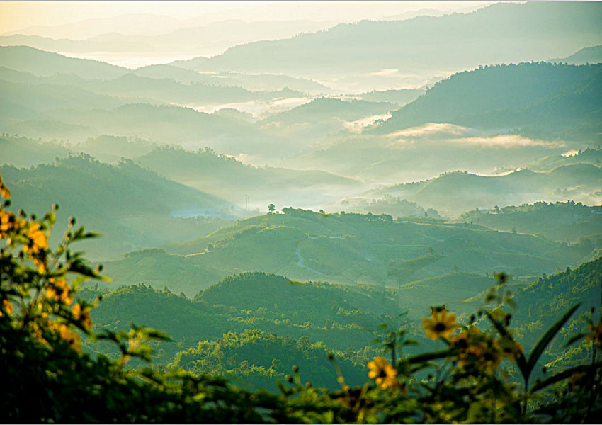 Peaceful mountain landscape with greenery and a lake. Panuson Norkew, unsplash.